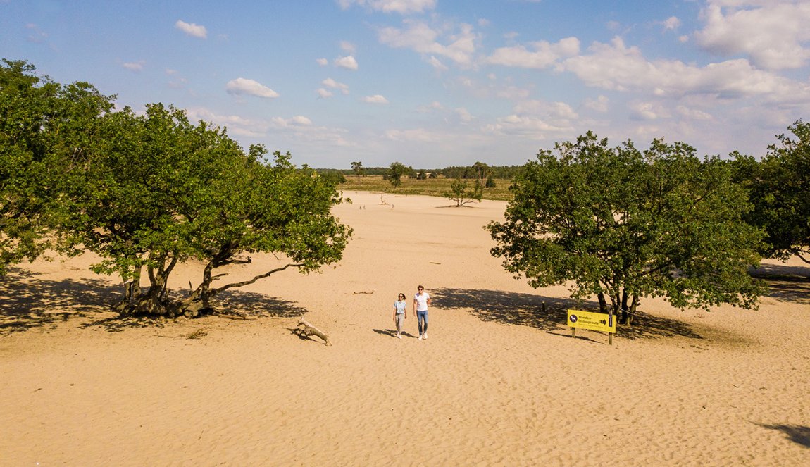Dunes of Loon and Drunen National Park - Holland.com